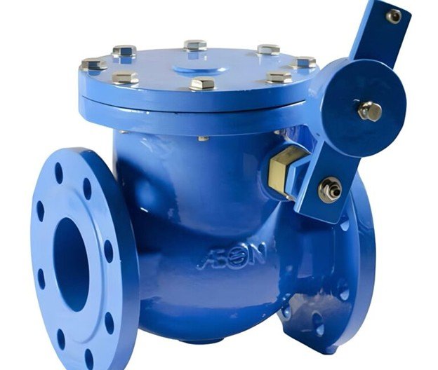 Swing Check Valve